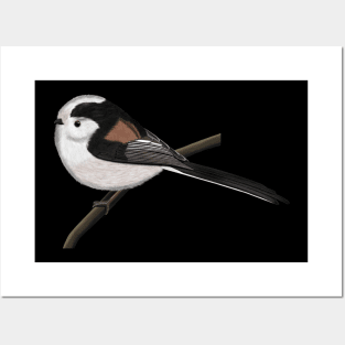 Long Tailed Tit Bird Watching Birding Ornithologist Gift Posters and Art